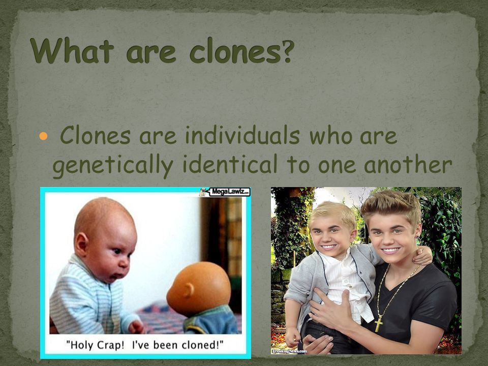 Clones are individuals who are genetically identical to one another