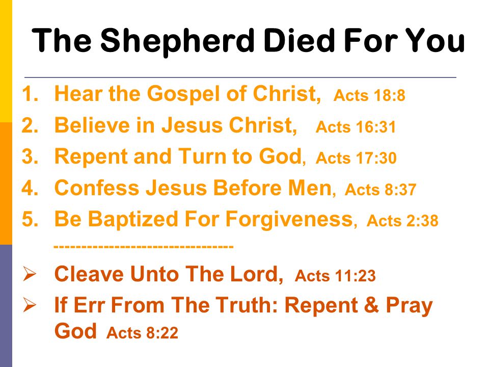 The Shepherd Died For You 1. Hear the Gospel of Christ, Acts 18:8 2.