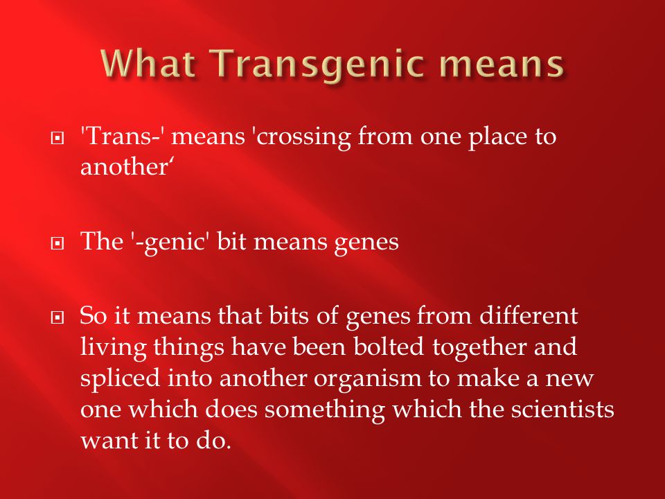  Trans- means crossing from one place to another‘  The -genic bit means genes  So it means that bits of genes from different living things have been bolted together and spliced into another organism to make a new one which does something which the scientists want it to do.