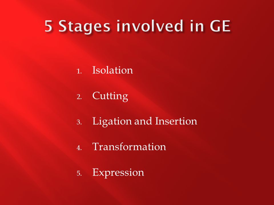 1. Isolation 2. Cutting 3. Ligation and Insertion 4. Transformation 5. Expression