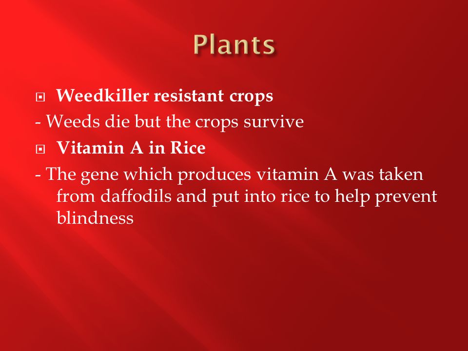  Weedkiller resistant crops - Weeds die but the crops survive  Vitamin A in Rice - The gene which produces vitamin A was taken from daffodils and put into rice to help prevent blindness
