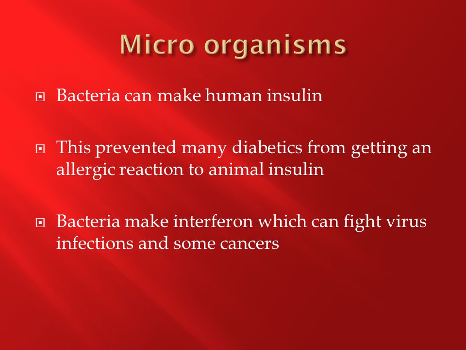  Bacteria can make human insulin  This prevented many diabetics from getting an allergic reaction to animal insulin  Bacteria make interferon which can fight virus infections and some cancers