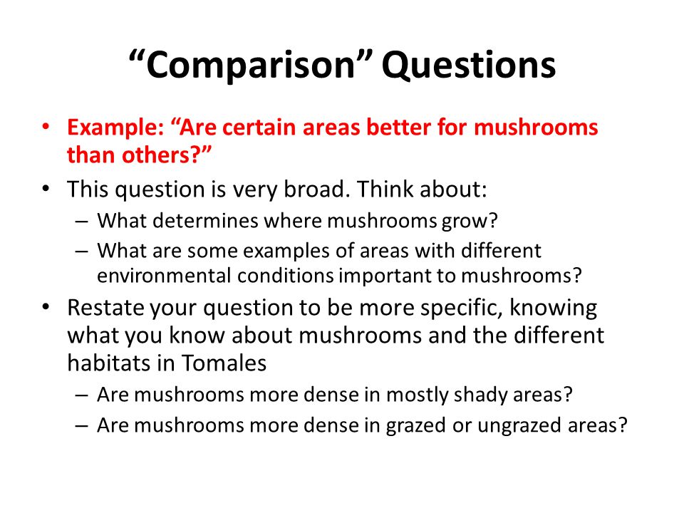 forming scientific questions from field observations to research examples of scientific questions