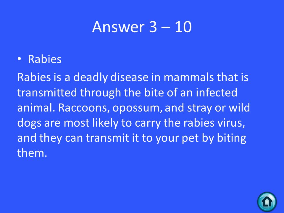 Answer 3 – 10 Rabies Rabies is a deadly disease in mammals that is transmitted through the bite of an infected animal.