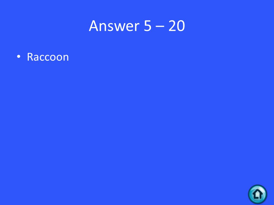 Answer 5 – 20 Raccoon