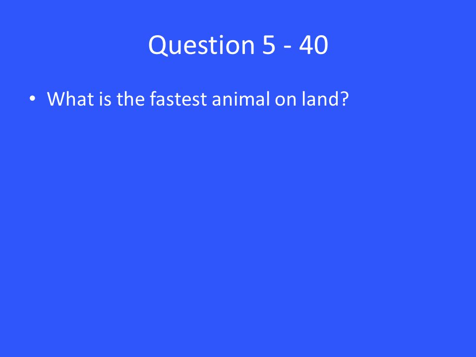 Question What is the fastest animal on land