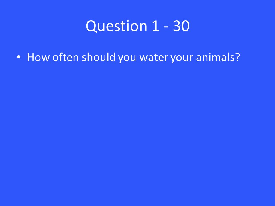 Question How often should you water your animals