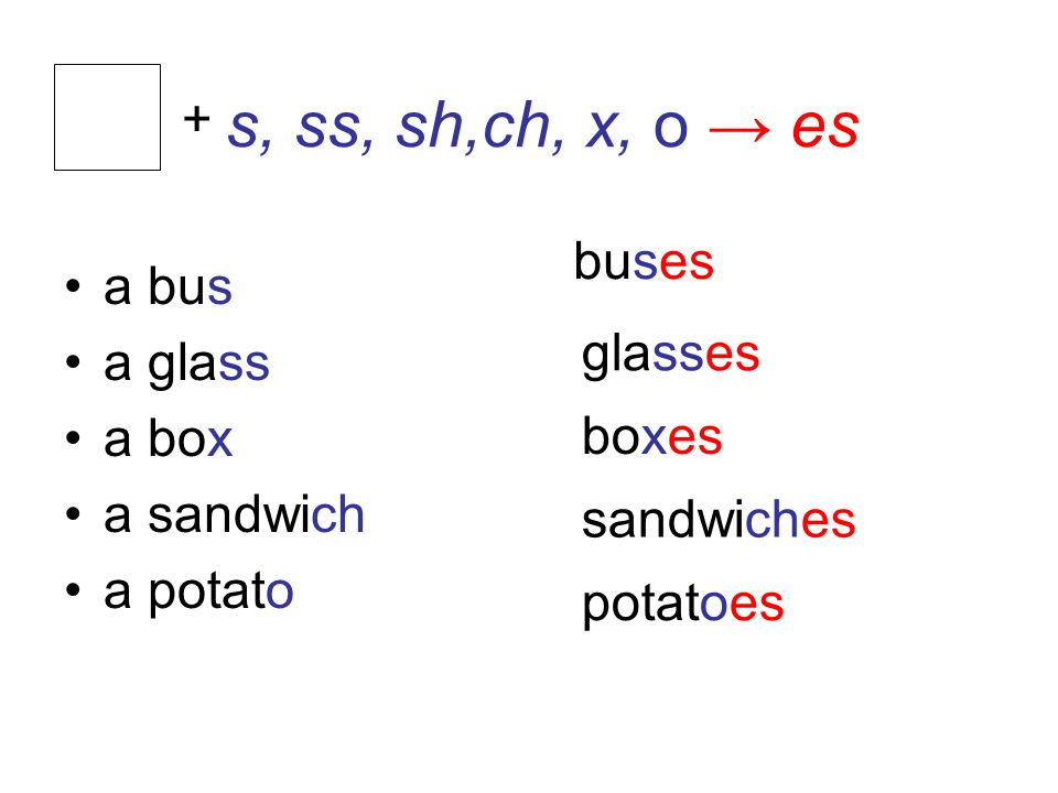 s, ss, sh,ch, x, o → es a bus a glass a box a sandwich a potato + buses glasses boxes sandwiches potatoes