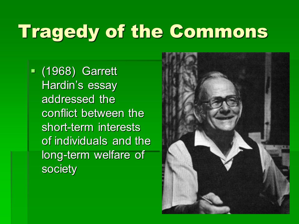 Tragedy Of The Commons Essay