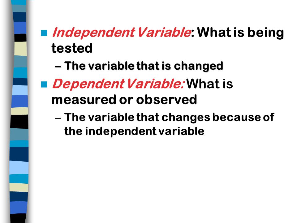 Independent Variable: What is being tested –The variable that is changed Dependent Variable: What is measured or observed –The variable that changes because of the independent variable