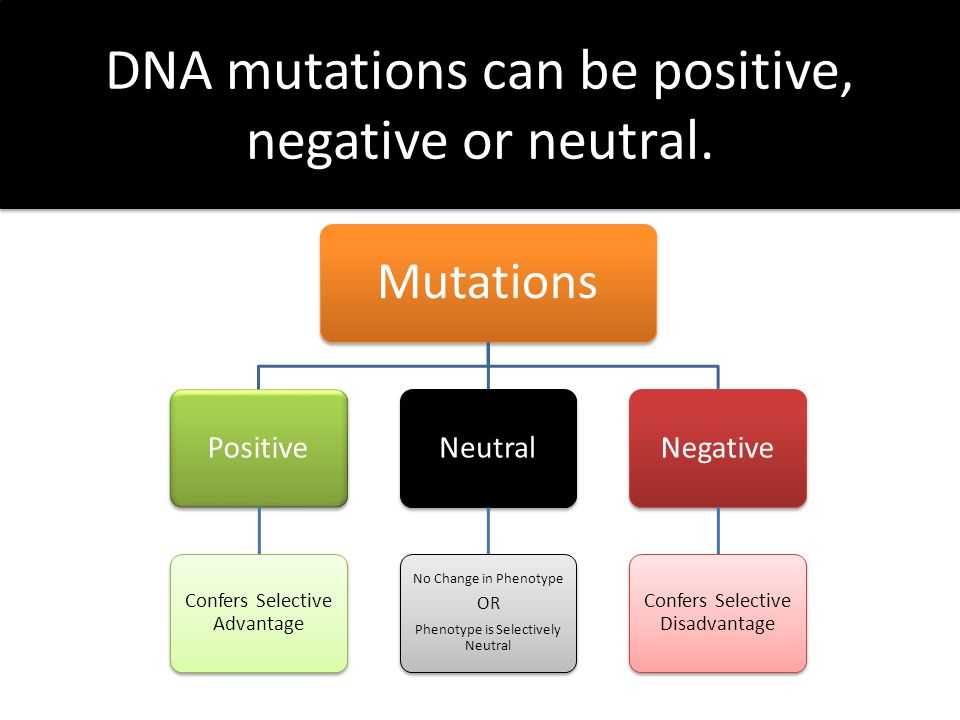 the positive and negative effects of dna profiling The positives and negatives on dna profiling dna testing has many uses, both positive and negative, in our society genetic profiling has been beneficial in paternity suits and rape cases, where the father or the assailant could be identified. the positive and negative effects of dna profiling The positives and negatives on dna profiling dna testing has many uses, both positive and negative, in our society genetic profiling has been beneficial in paternity suits and rape cases, where the father or the assailant could be identified.