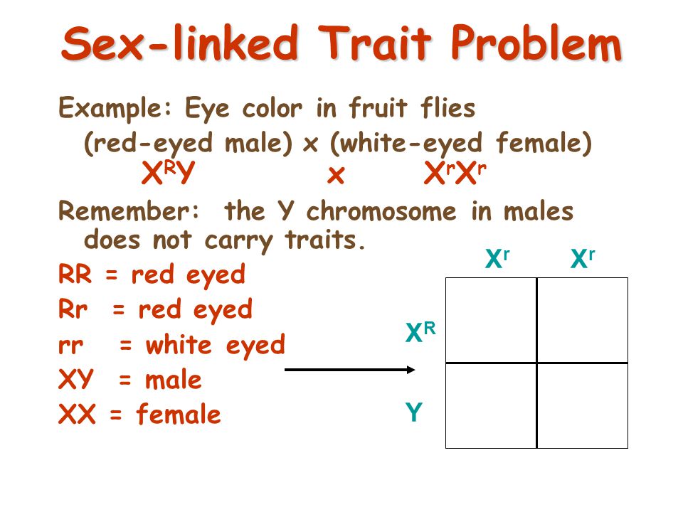 Worksheets Sex Linked Inheritance Worksheet sex linked traits worksheet virallyapp printables worksheets f09 name other related materials