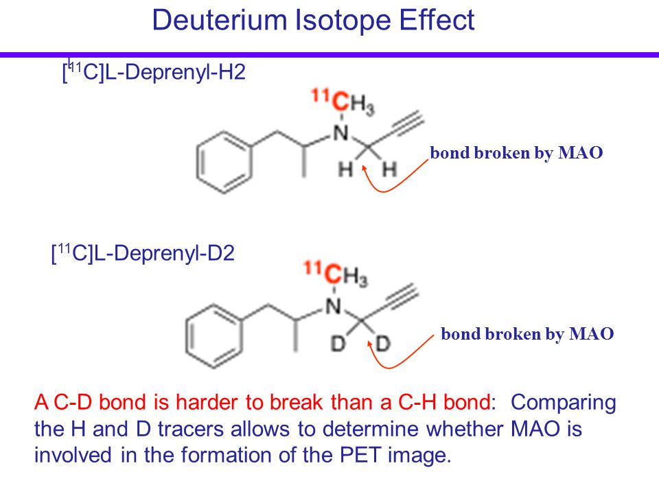 Deuterium Isotope Effect [ A C-D bond is harder to break than a C-H bond: Comparing the H and D tracers allows to determine whether MAO is involved in the formation of the PET image.