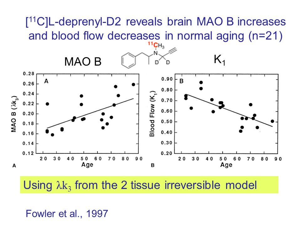 MAO B K1K1 [ 11 C]L-deprenyl-D2 reveals brain MAO B increases and blood flow decreases in normal aging (n=21) Fowler et al., 1997 Using λk 3 from the 2 tissue irreversible model