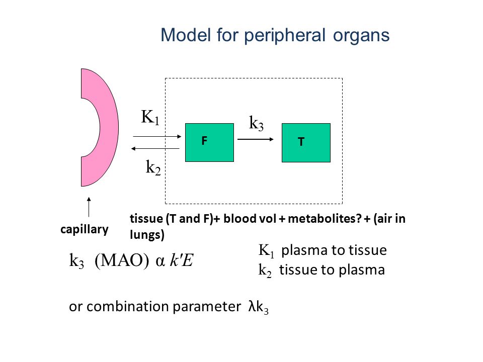 capillary K1K1 k2k2 k3k3 T F tissue (T and F)+ blood vol + metabolites.