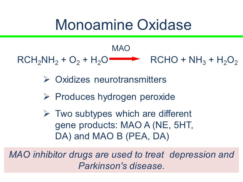 Monoamine Oxidase RCH 2 NH 2 + O 2 + H 2 O RCHO + NH 3 + H 2 O 2 MAO MAO inhibitor drugs are used to treat depression and Parkinson s disease.