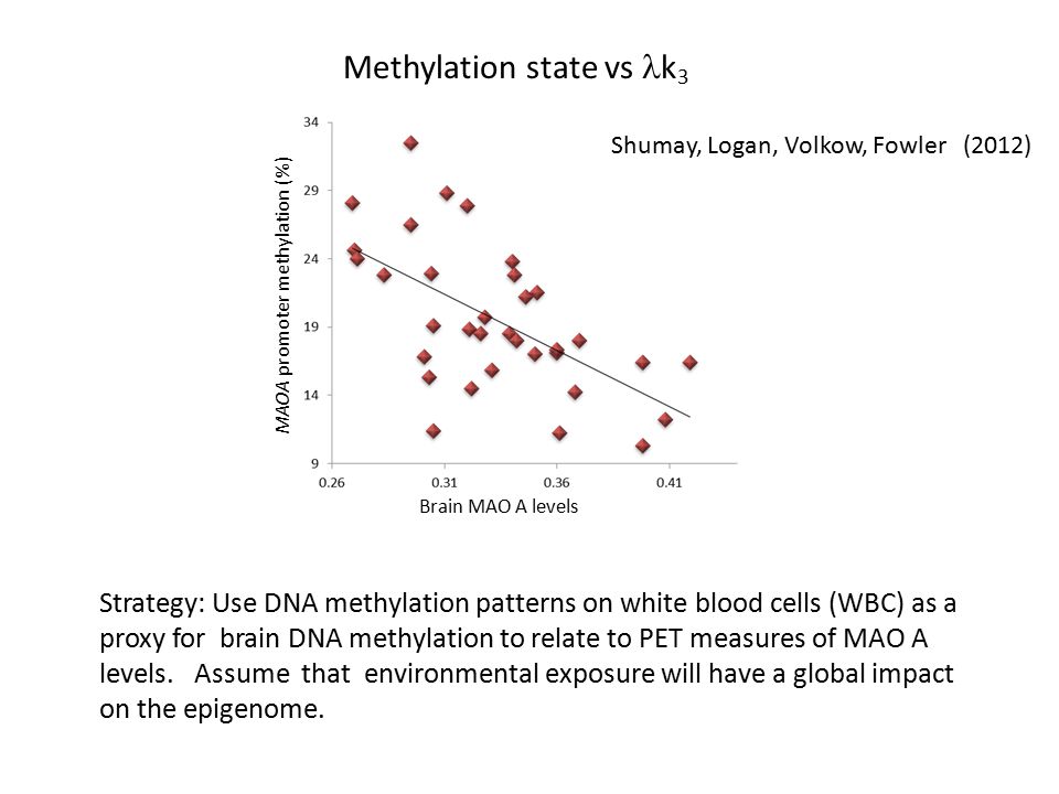 Methylation state vs k 3 Brain MAO A levels MAOA promoter methylation (%) Shumay, Logan, Volkow, Fowler (2012) Strategy: Use DNA methylation patterns on white blood cells (WBC) as a proxy for brain DNA methylation to relate to PET measures of MAO A levels.