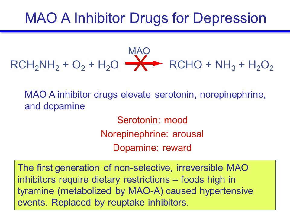 RCH 2 NH 2 + O 2 + H 2 O RCHO + NH 3 + H 2 O 2 MAO X MAO A inhibitor drugs elevate serotonin, norepinephrine, and dopamine Serotonin: mood Norepinephrine: arousal Dopamine: reward MAO A Inhibitor Drugs for Depression The first generation of non-selective, irreversible MAO inhibitors require dietary restrictions – foods high in tyramine (metabolized by MAO-A) caused hypertensive events.