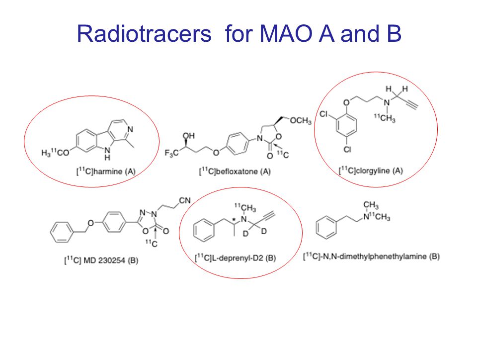 Radiotracers for MAO A and B