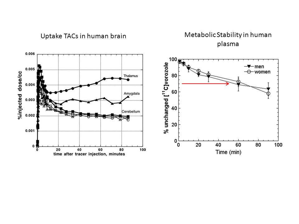 Metabolic Stability in human plasma Uptake TACs in human brain