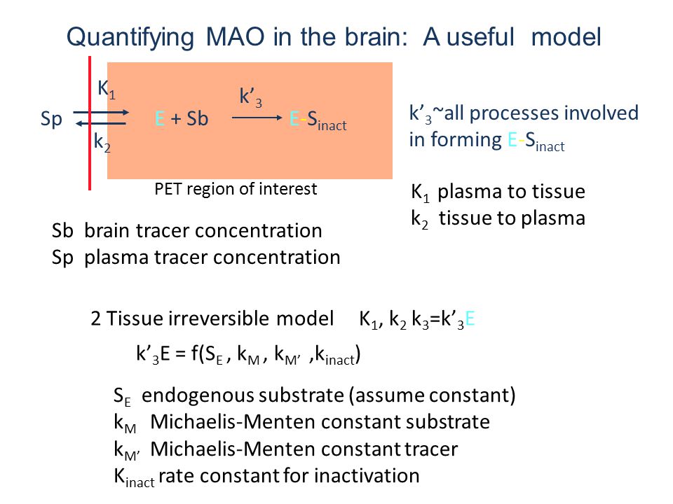Sp K1K1 k2k2 E + SbE-S inact PET region of interest k’ 3 Quantifying MAO in the brain: A useful model 2 Tissue irreversible model K 1, k 2 k 3 =k’ 3 E k’ 3 ~all processes involved in forming E-S inact k’ 3 E = f(S E, k M, k M’,k inact ) S E endogenous substrate (assume constant) k M Michaelis-Menten constant substrate k M’ Michaelis-Menten constant tracer K inact rate constant for inactivation Sb brain tracer concentration Sp plasma tracer concentration K 1 plasma to tissue k 2 tissue to plasma