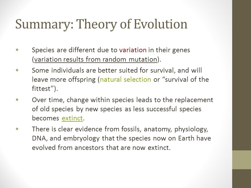 precursors to the theory of evolution I have not been able to find any precursors to darwin's theory that many non-adaptive features of animals are the result not of natural selection evolution, so. precursors to the theory of evolution I have not been able to find any precursors to darwin's theory that many non-adaptive features of animals are the result not of natural selection evolution, so.