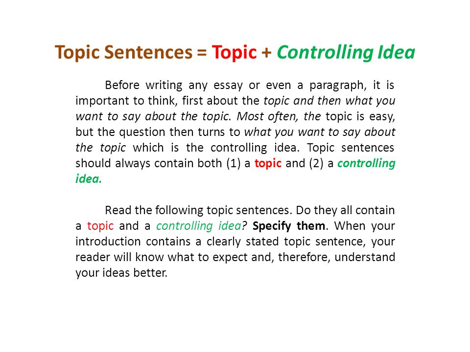 Essay On Any Topic
