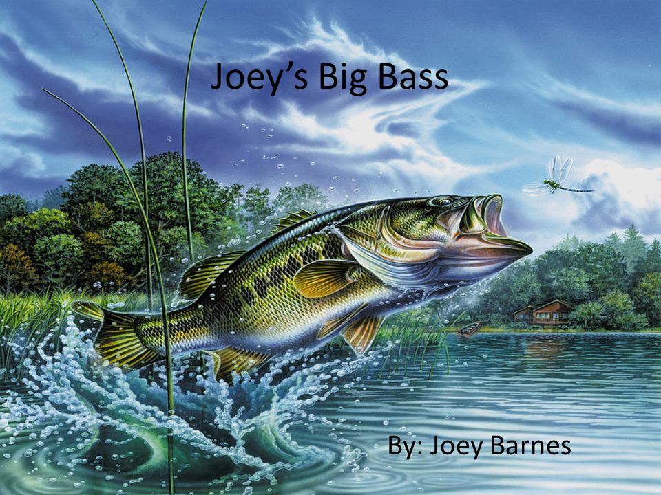 Joey’s Big Bass By: Joey Barnes