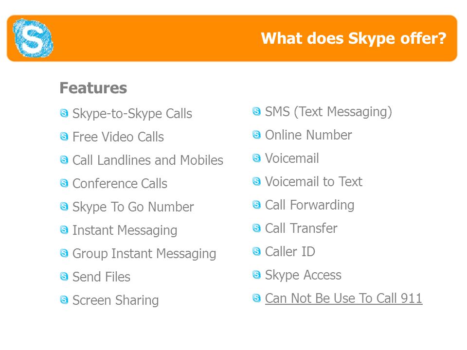 What Does Skype Offer.