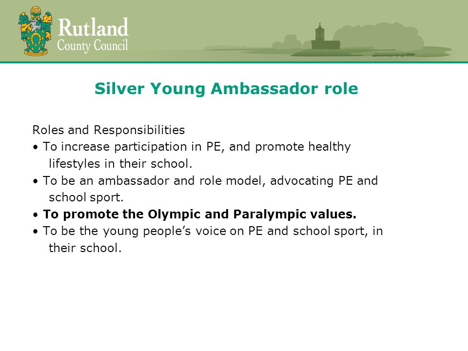 Silver Young Ambassador role Roles and Responsibilities To increase participation in PE, and promote healthy lifestyles in their school.