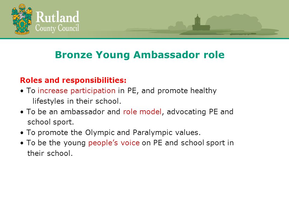 Bronze Young Ambassador role Roles and responsibilities: To increase participation in PE, and promote healthy lifestyles in their school.