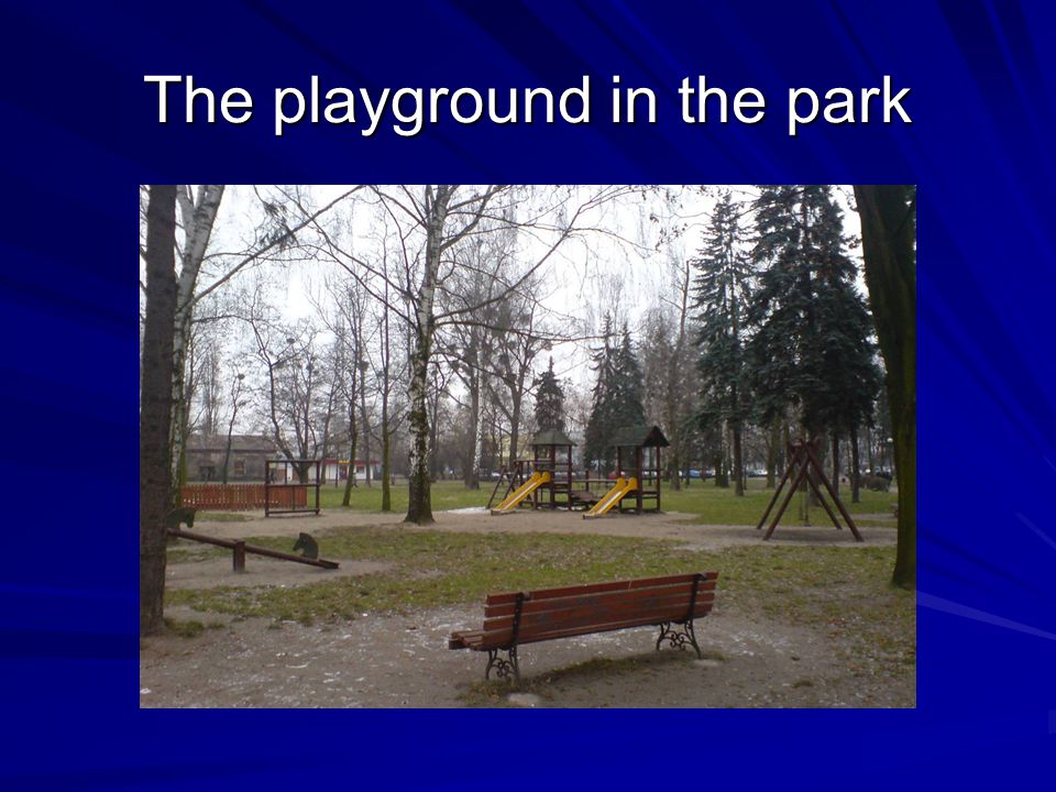 The playground in the park