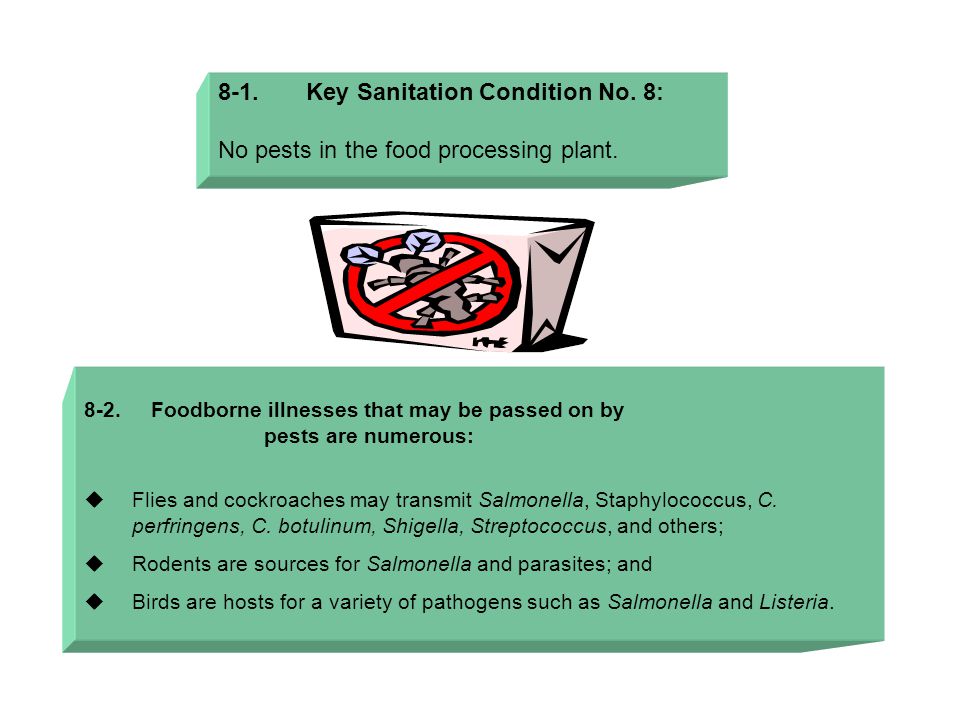 8-1. Key Sanitation Condition No. 8: No pests in the food processing plant.
