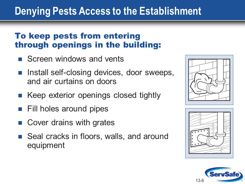13-6 Denying Pests Access to the Establishment To keep pests from entering through openings in the building: Screen windows and vents Install self-closing devices, door sweeps, and air curtains on doors Keep exterior openings closed tightly Fill holes around pipes Cover drains with grates Seal cracks in floors, walls, and around equipment