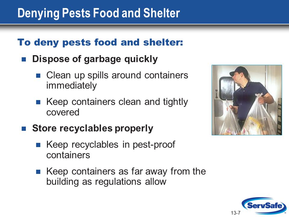 13-7 Denying Pests Food and Shelter To deny pests food and shelter: Dispose of garbage quickly Clean up spills around containers immediately Keep containers clean and tightly covered Store recyclables properly Keep recyclables in pest-proof containers Keep containers as far away from the building as regulations allow