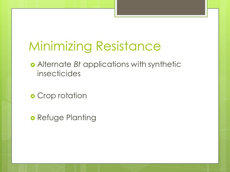 Minimizing Resistance  Alternate Bt applications with synthetic insecticides  Crop rotation  Refuge Planting