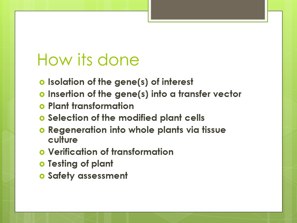 How its done  Isolation of the gene(s) of interest  Insertion of the gene(s) into a transfer vector  Plant transformation  Selection of the modified plant cells  Regeneration into whole plants via tissue culture  Verification of transformation  Testing of plant  Safety assessment