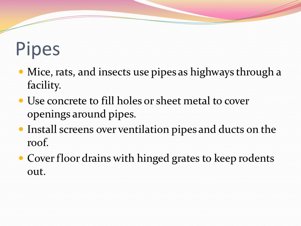 Pipes Mice, rats, and insects use pipes as highways through a facility.