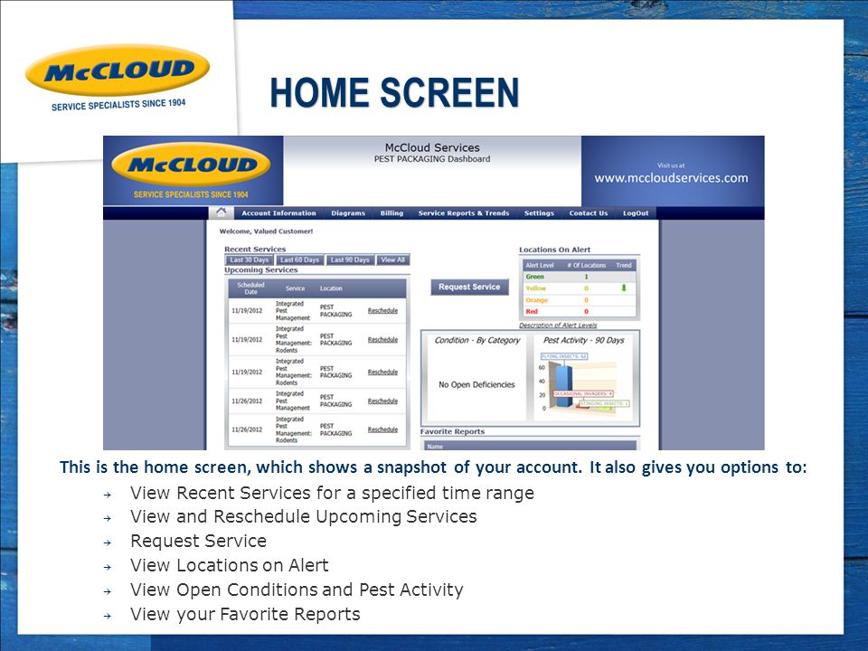 HOME SCREEN This is the home screen, which shows a snapshot of your account.