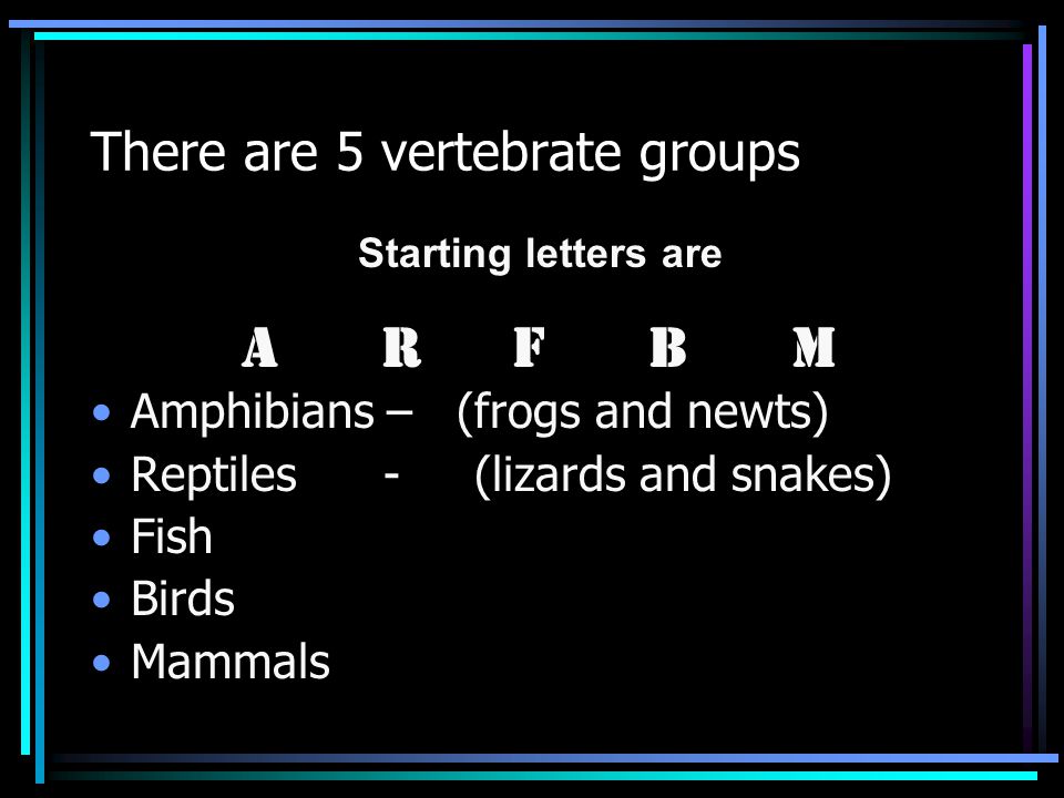 There are 5 vertebrate groups Amphibians – (frogs and newts) Reptiles - (lizards and snakes) Fish Birds Mammals Starting letters are A R F B M