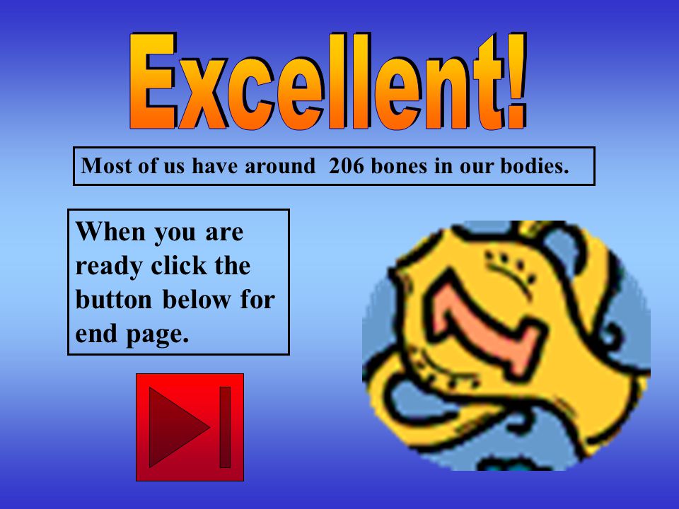 Most of us have around 206 bones in our bodies.