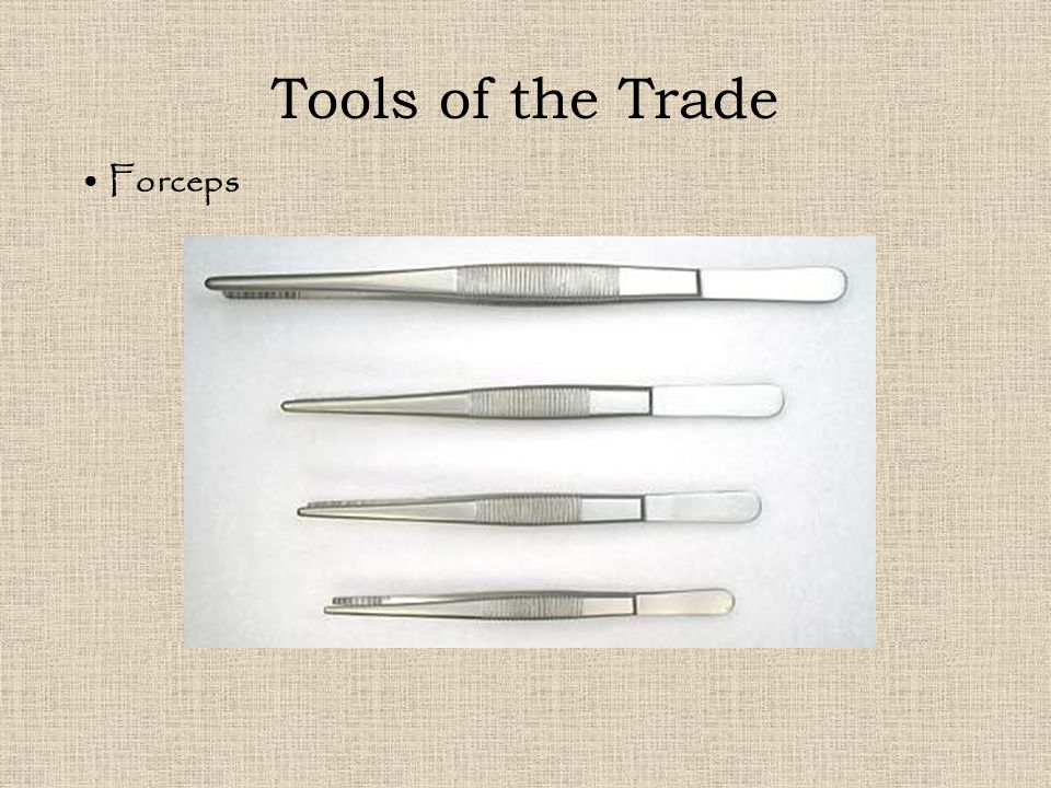 Tools of the Trade Forceps