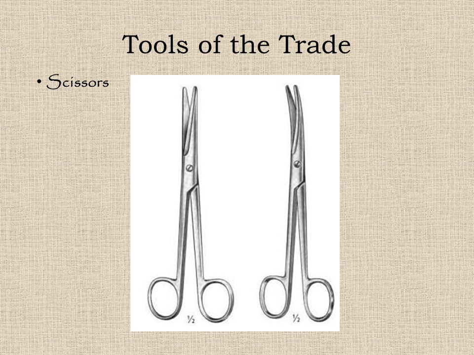Tools of the Trade Scissors