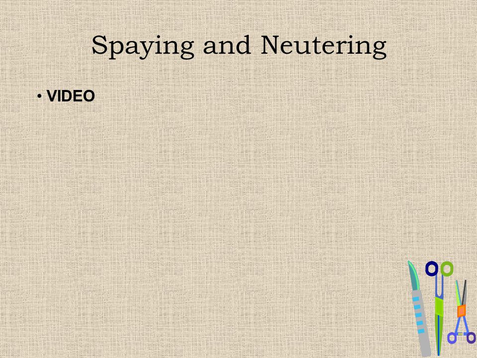 Spaying and Neutering VIDEO