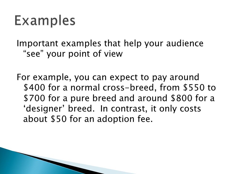 Important examples that help your audience see your point of view For example, you can expect to pay around $400 for a normal cross-breed, from $550 to $700 for a pure breed and around $800 for a ‘designer’ breed.