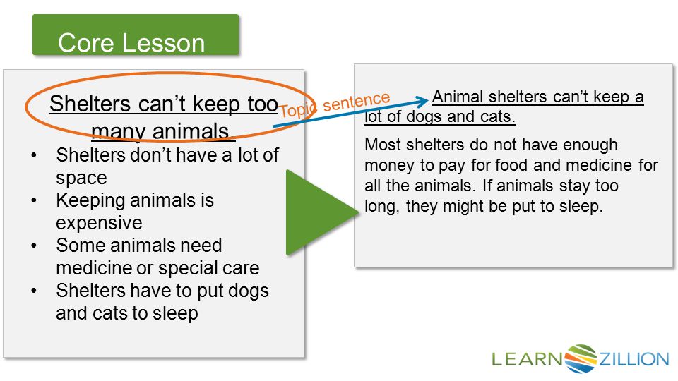 Let’s Review Core Lesson Most shelters do not have enough money to pay for food and medicine for all the animals.