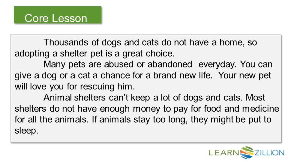 Let’s Review Core Lesson Thousands of dogs and cats do not have a home, so adopting a shelter pet is a great choice.