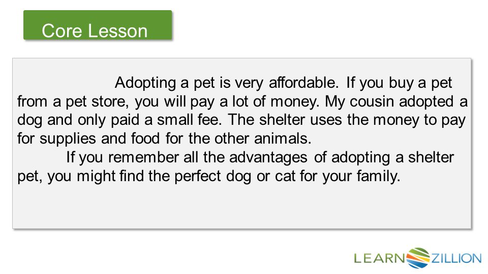 Let’s Review Core Lesson Adopting a pet is very affordable.