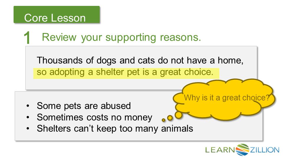 Let’s Review Core Lesson Thousands of dogs and cats do not have a home, so adopting a shelter pet is a great choice.