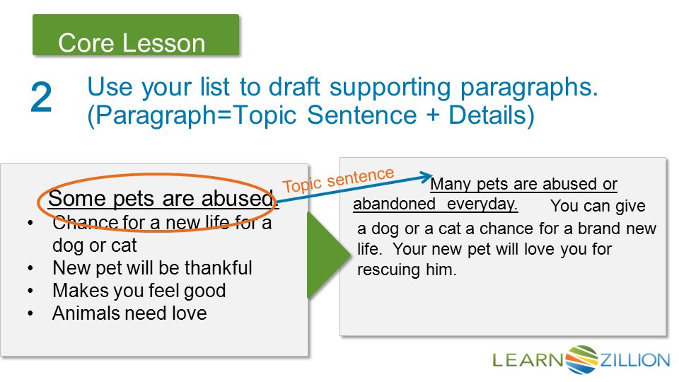 Let’s Review Core Lesson a dog or a cat a chance for a brand new life.